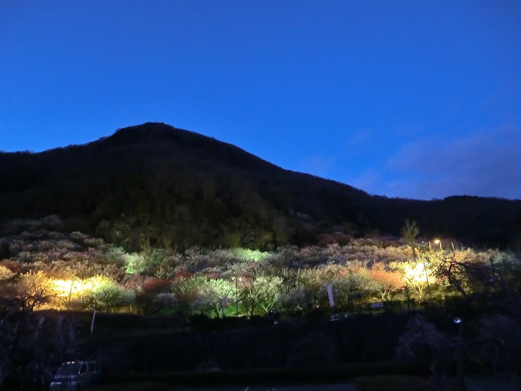 Yugawara Onsen Kawasegien Isuzu Hotel Атами Экстерьер фото