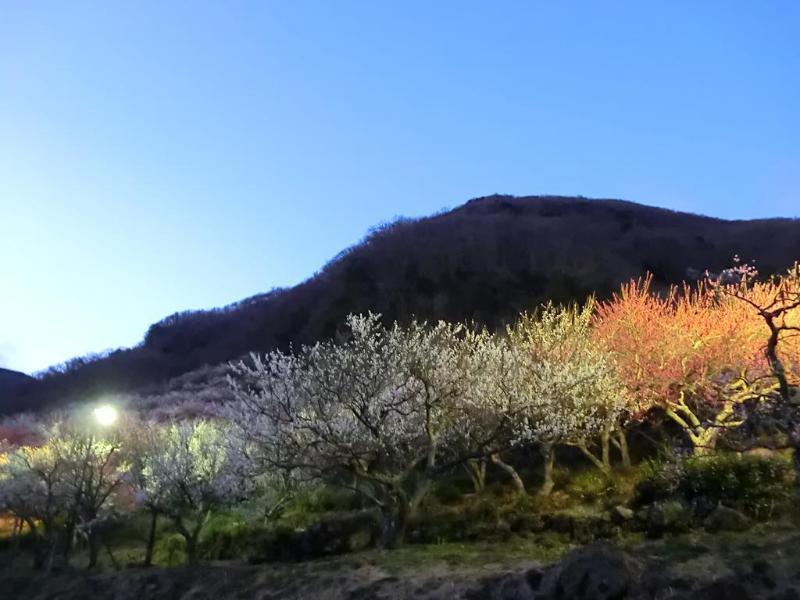 Yugawara Onsen Kawasegien Isuzu Hotel Атами Экстерьер фото